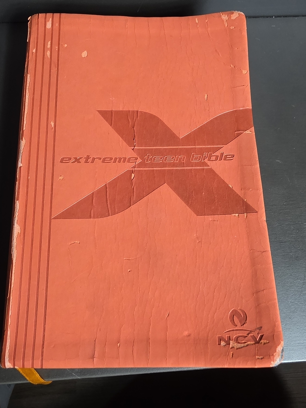 Extreme Teen Bible - Orange Faux Leather Cover Inside Is In Great Condition